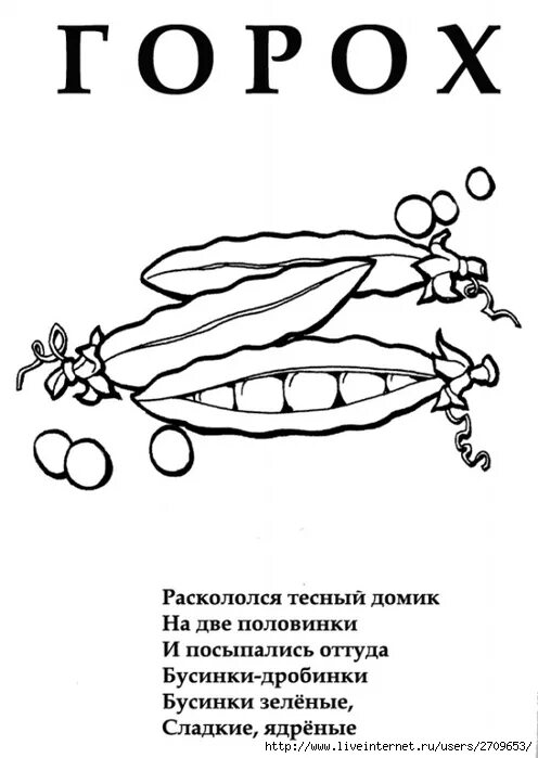 Стих про горох. Загадки в раскрасках про овощи для детей. Раскраска овощи со стихами. Горох для раскрашивания для детей.