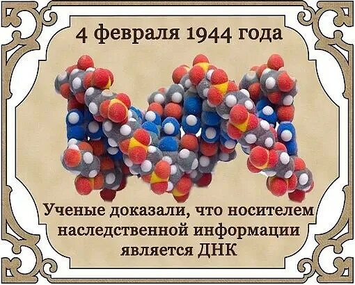 4 февраля календарь. 4 Февраля день. 4 Февраля праздник Тимофеев день. Праздники сегодня 4 февраля. 04 Февраля Тимофеев день.