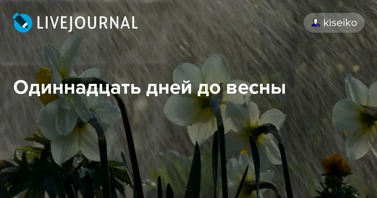 До весны 11 дней. До весны осталось 10 дней. Предчувствие весны. До весны осталось 3. До весны осталось 9 дней.