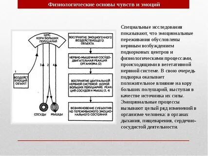 Физиологическая роль эмоции