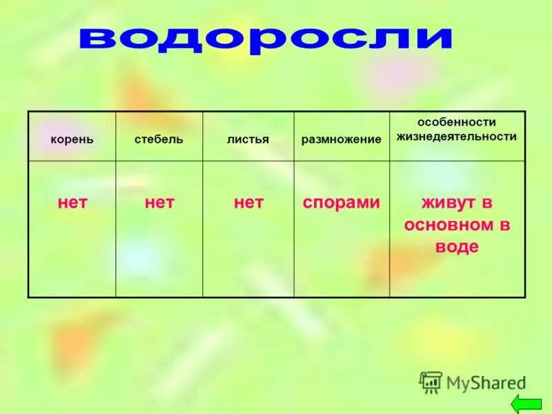 этапы жизнедеятельности вируса. особенности строения и жизнедеятельности вирусов. цветковые растения особенности жизнедеятельности. особенности жизнедеятельности. особенности микрофинансовых организаций.
