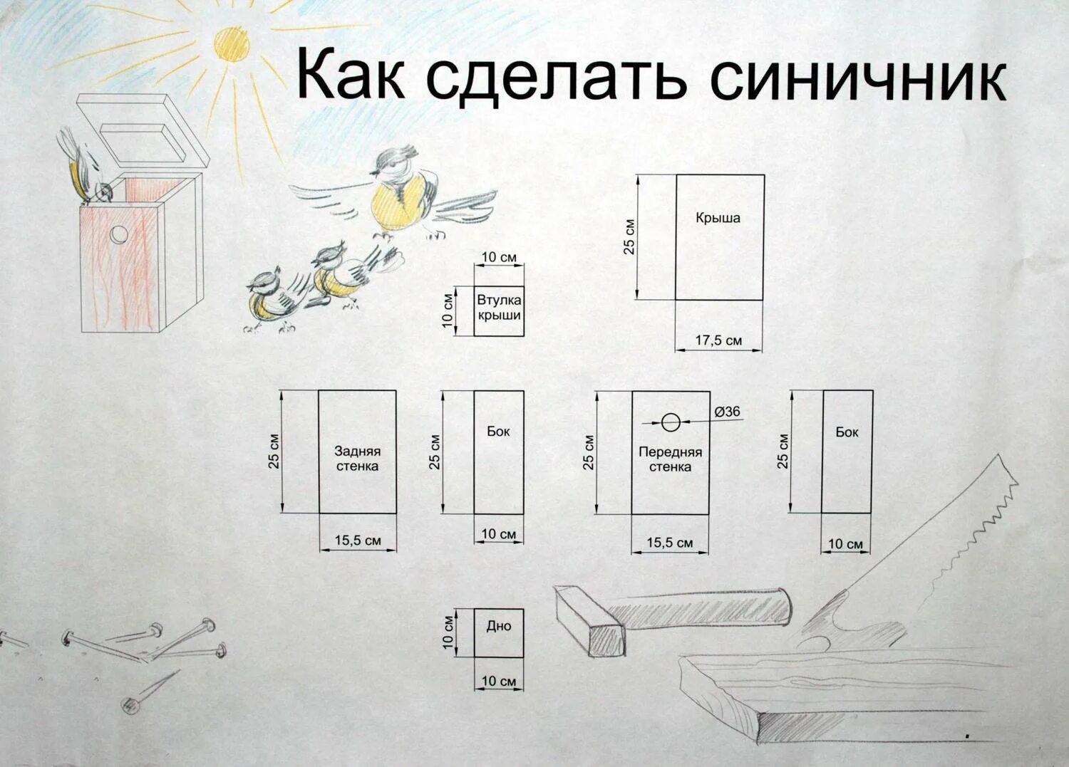 Какого размера должен быть скворечник. Размеры скворечника для Скворцов. Чертёж синичника скворечника с размерами. Чертёж скворечника с размерами из дерева для Скворцов. Синичник чертеж дом для птиц.