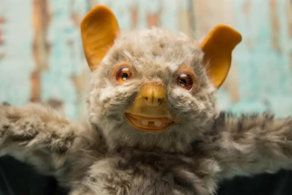 чучело мыши. чучело мыши. летучая мышь таксидермия. чучело мыши. чучело мыши.