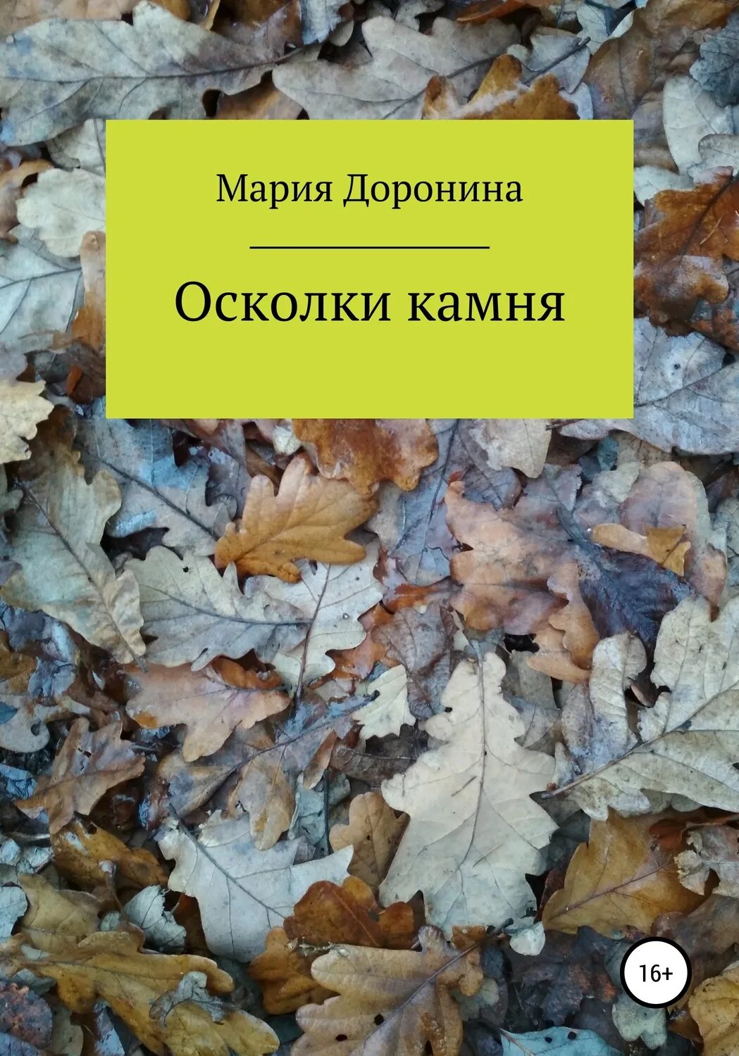Осколок камня души зачем. Осколок камня.