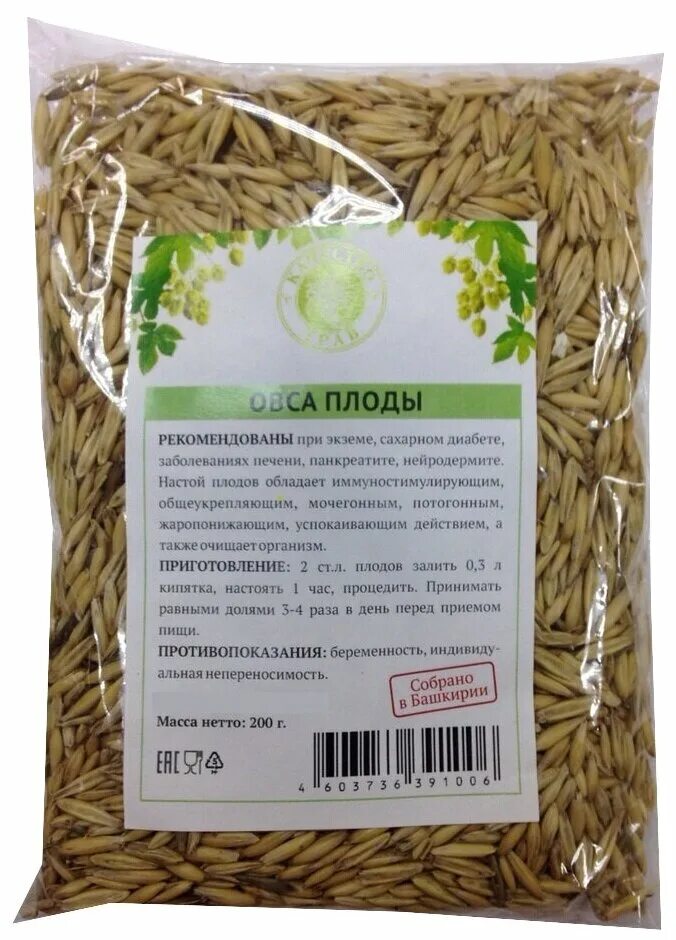 Овес стоит. Трава овса посевного. овес в аптеке. овес аптечный. овес для отваров и настоев.