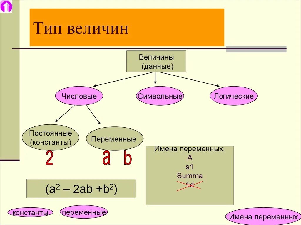 Какие величины в информатике. Типы величин. Типы величин в информатике. Типы величин в алгоритме. Линейный Тип величины.