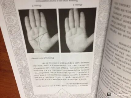 Книга линия судьбы