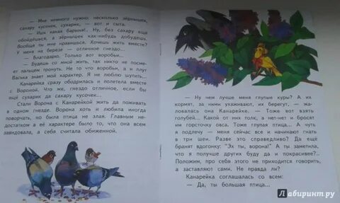 Сказка про воронушку и желтую канарейку