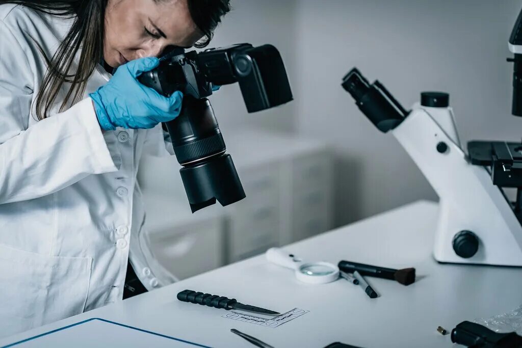 личность судебного эксперта. судебно-портретная экспертиза. экспертизы в криминалистике. личность судебного эксперта. судебно-криминалистическая экспертиза.