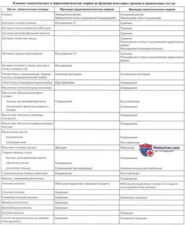 Симпатика и парасимпатика отличия