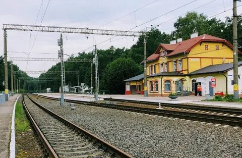 Вокзал светлогорск телефон