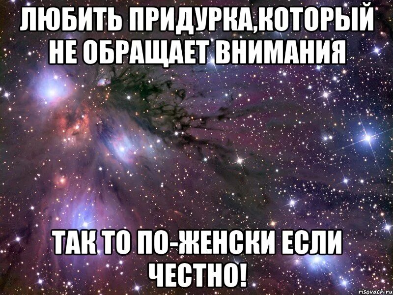 Арт афоризм. Если не обращать на трудности они обидятся и уйдут. На свет не обращает внимания. На свет не обращает внимания. Гусь юмор.