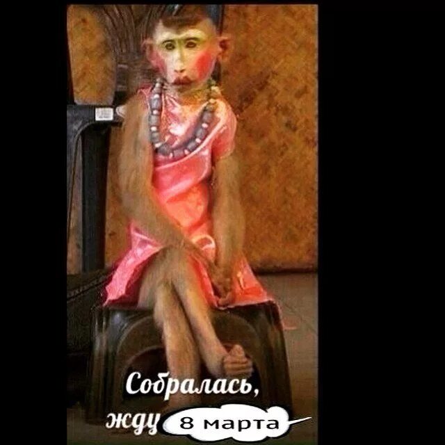 Вот сижу я такая