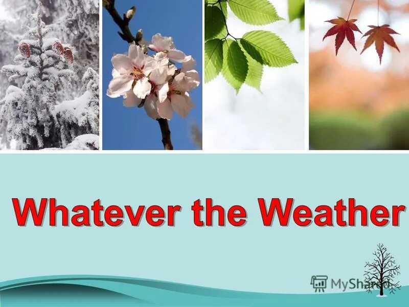 The weather is very warm. Weather is Winter. Whether the weather is Cold or whether the weather is hot. Whether the weather is Fine. Whether the weather is warm.