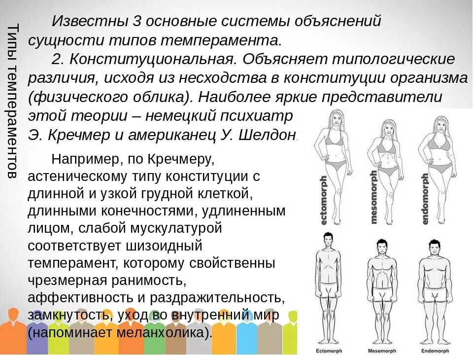 Тип темперамента и телосложение. Классификация типов фигур. конституциональные типы человека. типы телосложения. телосложение в психологии.