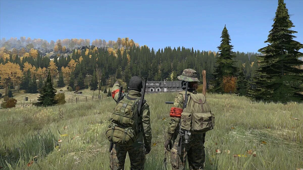 Когда выйдет игра вува. Дэйзи стэндэлон. DAYZ геймплей. DAYZ скрины. Арма 2 Черноруссия.