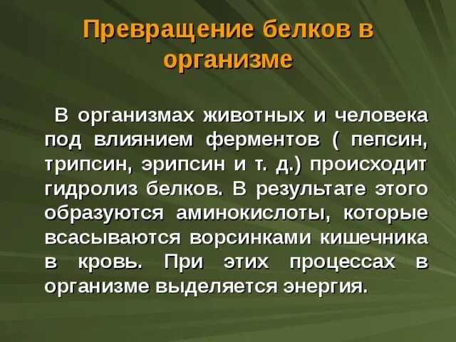 Преобразование белка. Превращение белка в организме. Превращение белков в организме человека. Превращение белков пищи в организме. Превращение белков в организме кратко.