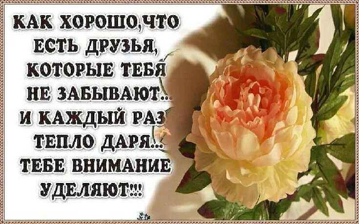 Желаю поддержки близких. Благодарность друзьям. Благодарю вас что вы есть в моей жизни. Пожелания друзьям и родным. Благодарю за поддержку.