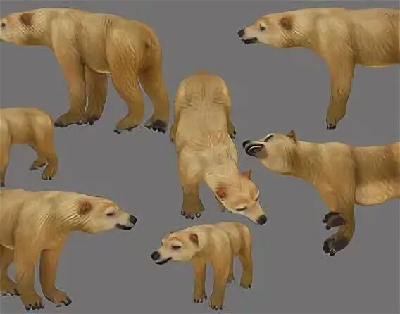 Скачай полную версию медведя