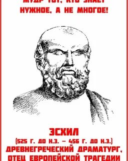 Не мудро поступил