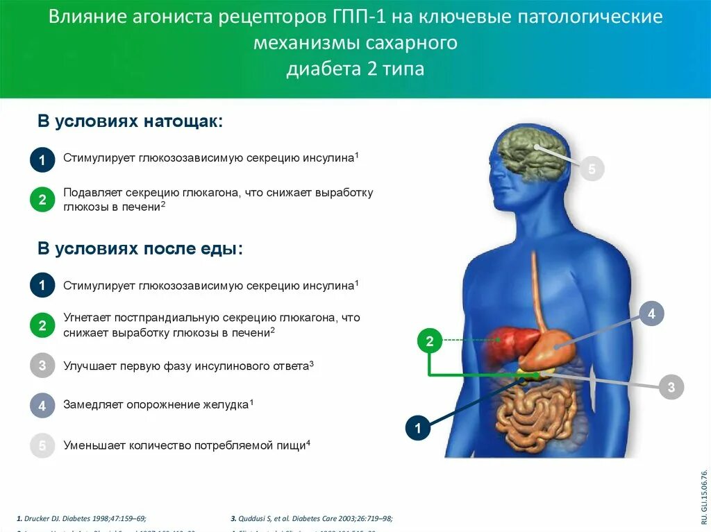 Гпп 1 рецептор. Агонисты рецепторов гпп-1 препараты. клиническая картина диабета. клиническая картина сахарного диабета 2 типа. клиническая картина сахарного диабета 1 типа.