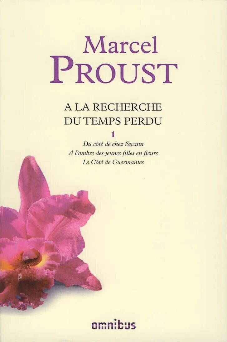 Proust Temps. La recherche журнал. Marcel Proust à la recherche du Temps perdu vi le Côté de Guermantes картинки. Temps perdu