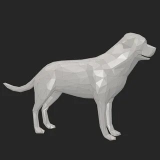 Dog low