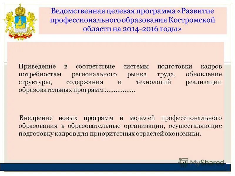 Перечень федеральных целевых программ. Виды ведомственных целевых программ. План мероприятий по привлечению медицинских кадров. Реализация ведомственных целевых программ. Реализация ведомственных целевых программ.