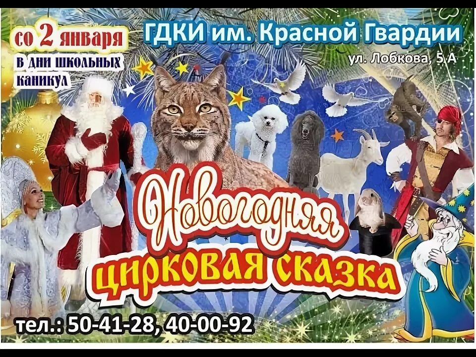 Новогодний цирк. Цирк новый год. Новогодний цирк. Новогодний цирк. Новогодний спектакль в цирке.