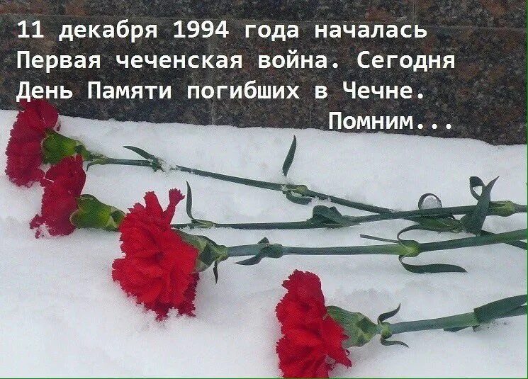 1994 год 1 декабря. День памяти русских солдат, погибших в Чечне. День памяти Чеченской войны 11 декабря. 11 Декабря день памяти погибших в Чечне. Гвоздики на снегу.