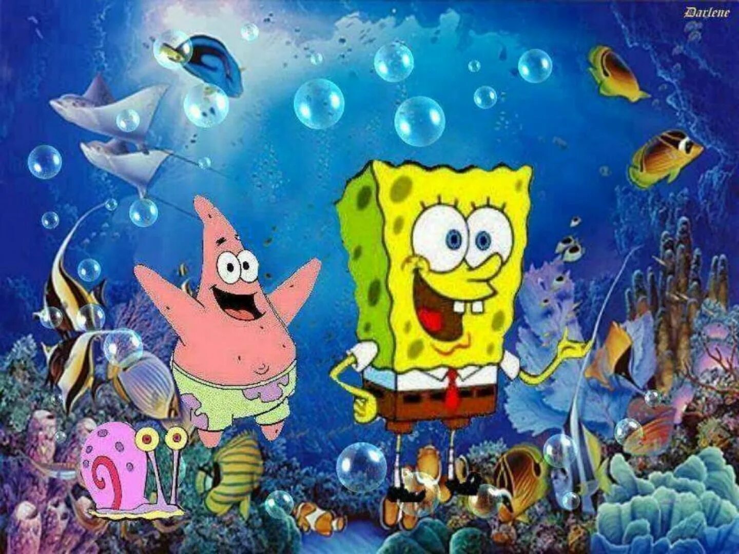 Spongebob download. Спандж Боб квадратные шта. Губка Боб квадратные штаны и его друзья. Губка Боб Esponja.