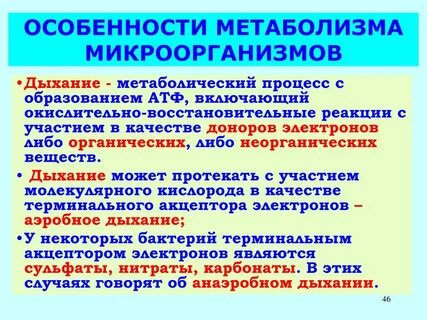 Все реакции метаболизма осуществляются при участии