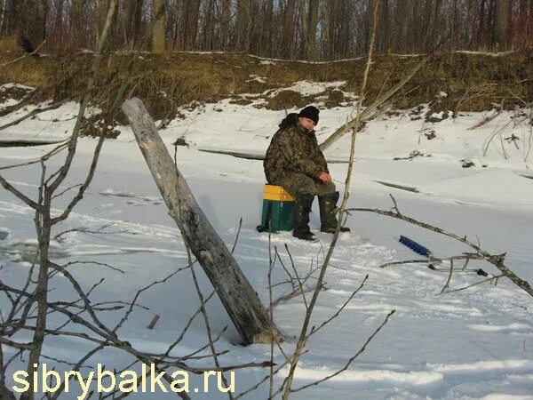 Ловля в сибири. Рыбалка в Сибири. Зимняя рыбалка в Сибири. Рыбалка на реке Яя. Сибирский Рыбак.