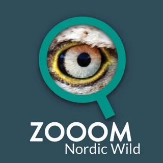 Zoooma