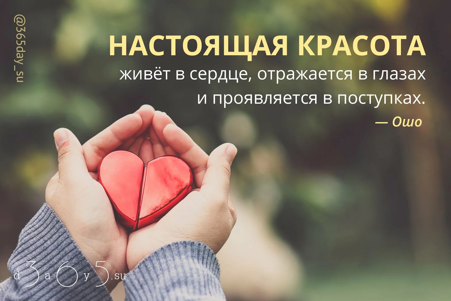 Красивые мысли красивое сердце афоризмы. Цитаты про сердце. Высказывания о сердце. Фразы про сердце. Высказывания о сердце.