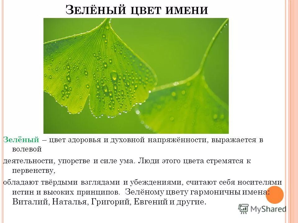 Кличка зеленый. Влияние зеленого цвета на человека. Имена зеленого цвета. Зеленый цвет здоровья. Акция здоровью зеленый цвет.