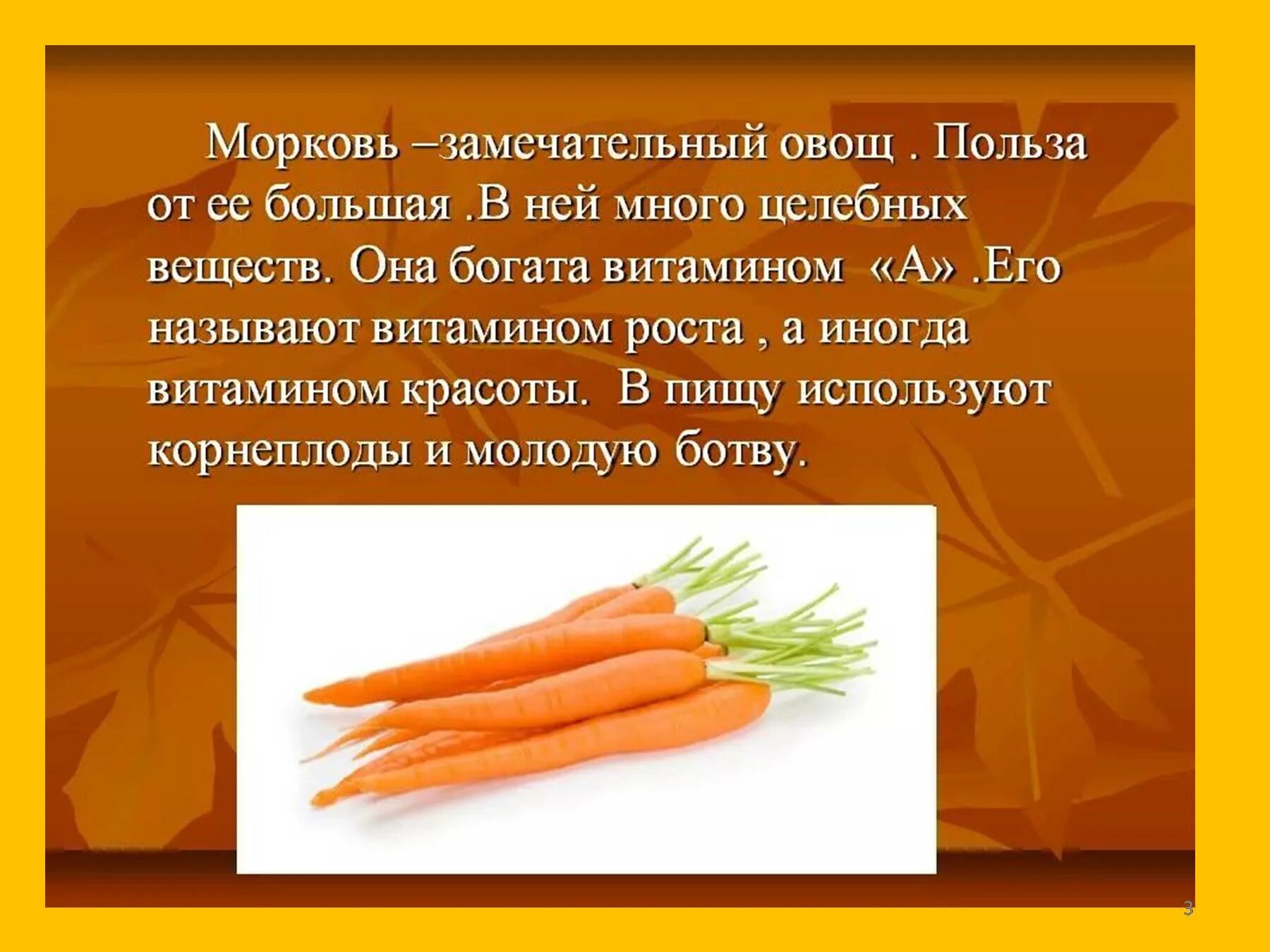 Класс растения морковь. Морковь для презентации. Доклад о морковке. Рассказ про морковь. Мамарковка презентация.