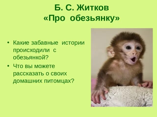 Конспект урока 3 класс житков про обезьянку. План про обезьянку 3 класс житков. обезьянка. план про обезьянку. житков про обезьянку.