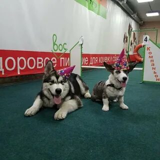 Зооцентр