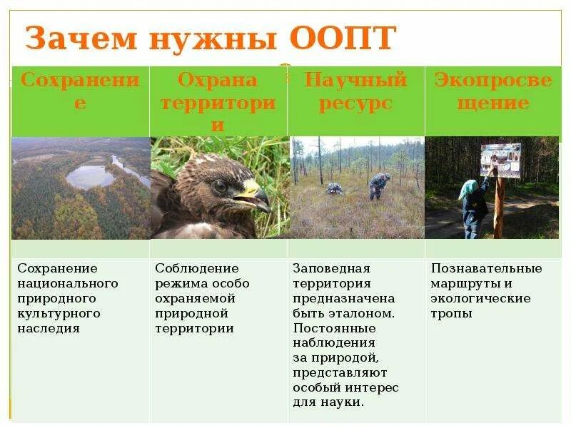 Особо охраняемые природные территории и объекты. Особоохроняемые природные территории. Охрана природы и охраняемые территории. Охраняемые природные территории. Особо охраняемые природные территории.