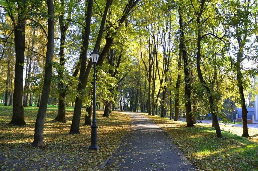 Новгород Кремлевский парк. Парк Кремль Великий Новгород. Кремлевский парк в Великом Новгороде. Кремлёвский парк Великий Новгород летом. Парки великого новгорода сайт