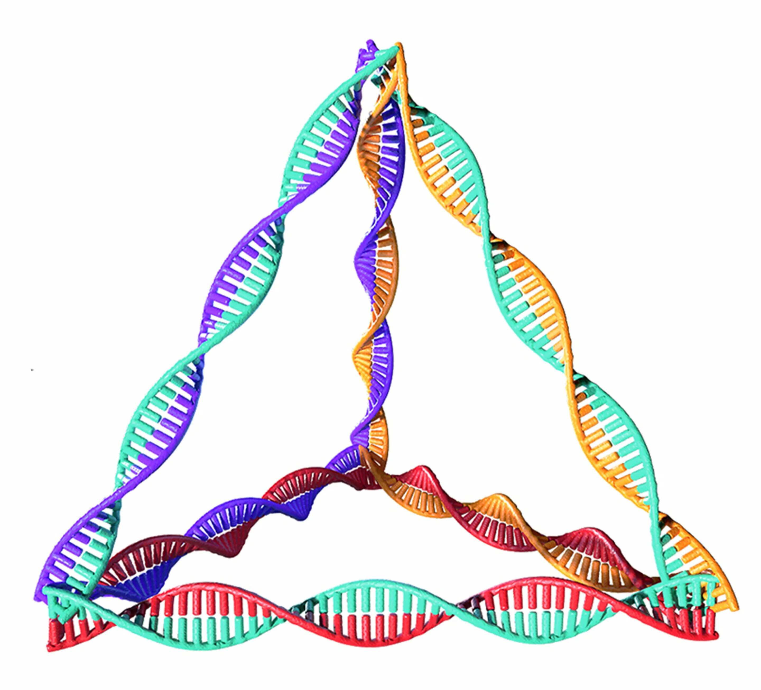 Днк 26.03 24. Молекула ДНК. Нуклеиновые кислоты фото. ДНК человека первые исследователи. ДНК рисунок.