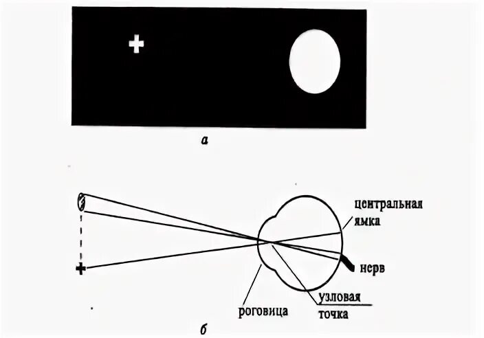 Обнаружение слепого пятна практическая. Обнаружение слепого пятна опыт Мариотта. Обнаружение слепого пятна на сетчатке глаза опыт Мариотта. Опыт Мариотта слепое пятно. Обнаружение слепого пятна опыт Мариотта таблица.