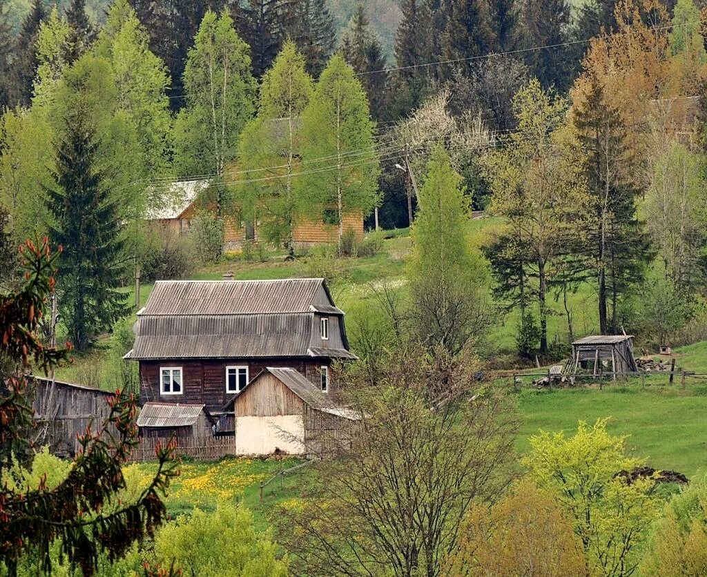 Карпаты деревня. Деревня в лесу. Домик в лесу. Деревня в лесах.