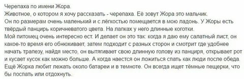 Сочинение мое любимое животное 5 класс