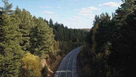 Томск тайга на машине