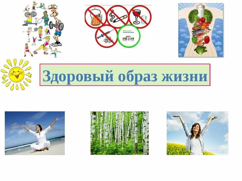Зож первые