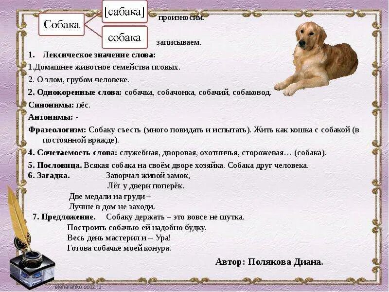 Лексическое значение собака
