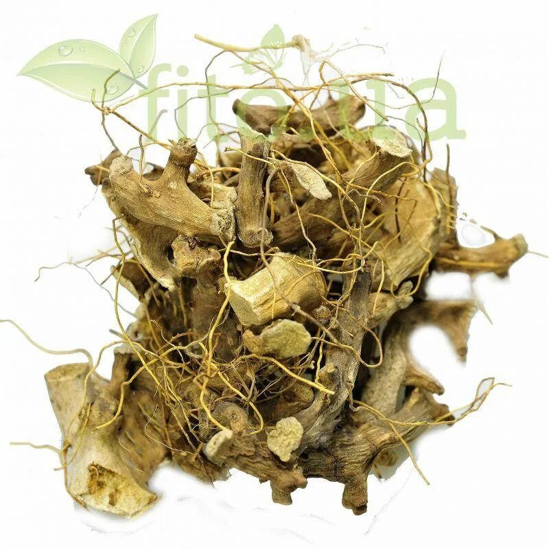 лекра-сэт корневище диоскорея кавказская ф/п 1,5 г №20. диоскорея кавказская корень. лекра-сэт корневище диоскорея кавказская 25 г. диоскорея кавказская травы кавказа. корневища диоскореи кавказской.