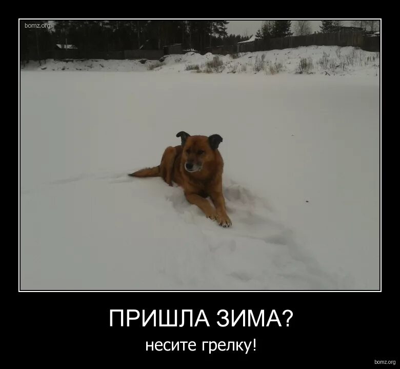 Зима пришла юмор. Зима пришла неожиданно. Зима пришла нежданно. А белая зима началась внезапно. Зима всегда приходит неожиданно.